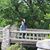 Andrea McKinney Anderson's profile image