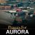 Teresa Alfaro's profile image