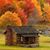 Tracy Knutson's profile image