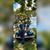 Ulfat Tahsin's profile image