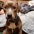 Susan Marie Mcginty - Scholten's profile image