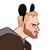 Alex Maxwell's profile image