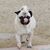 Kelly Klein Hendley's profile image