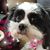 Lori Tipton's profile image