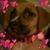 Charles Mason's profile image