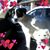 Lanette Thomas's profile image