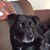 Terry Studebaker's profile image
