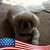 JJ Shelton's profile image