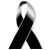 Jaqueline Bolanos's profile image