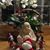 Janie Holdridge's profile image