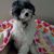 Michelle Selym's profile image