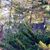 Donna Chianese Hilton's profile image