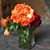 Lesley Bazigian Kissick's profile image