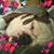 Chris Huff's profile image