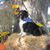 Karen McCrorey's profile image