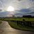 Paula Arnst Mondoux's profile image
