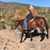 Jenni Sparling's profile image