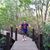 Poom Dankul's profile image