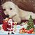 Rudy N Marina Vargas's profile image