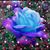 Tonya Keisler's profile image