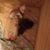 Lanita Baxter's profile image