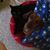 Faith Hatt's profile image