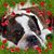 Jacqueline Shaw's profile image