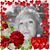 Kandy Newlin's profile image