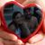 Brandy Bowen's profile image