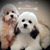 Sandra Barsuk's profile image