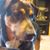 Andy Stowell's profile image