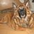 Heather Jourdonais-Bolerjack's profile image