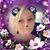 Mary McClay's profile image