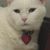 Tamara Nicole Stanley's profile image