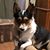 Mandy Adams Vance's profile image