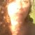 Virginia Moreno's profile image