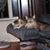Brenda Eakins's profile image