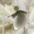 Kathy Hollar's profile image