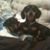 Elizabeth J Casali's profile image