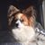 Connie Burdick Muller's profile image