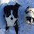 Leeanne Lawrence's profile image