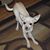 Peggy Day Walls's profile image