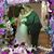 Dina M Fulton's profile image