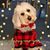 Robyne Kintz's profile image