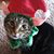 Laura Schaffer's profile image