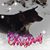 Shannon Gwinn's profile image