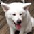 Jo-an Tsai's profile image