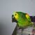 Marion Sindt's profile image