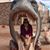 Kelli Waddell's profile image
