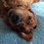 Denise Skillin Donnelly's profile image